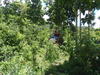 M_008.JPG